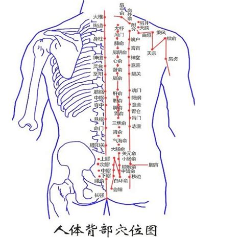 背部有痣代表什么|背上长痣好不好 背上长痣有什么寓意